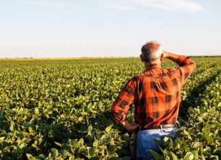 Produtores rurais passam a emitir Nota Fiscal Eletrônica com o CPF na Bahia