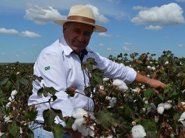Confira a entrevista com engenheiro agrônomo e agricultor Júlio Busato