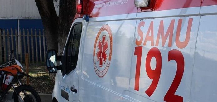 samu-2074631-article