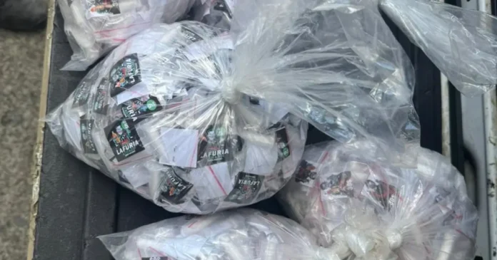 IMAGEM_NOTICIA_9 (18)