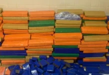 Polícia apreende quase 1 tonelada de maconha em Simões Filho