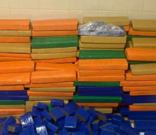 Polícia apreende quase 1 tonelada de maconha em Simões Filho