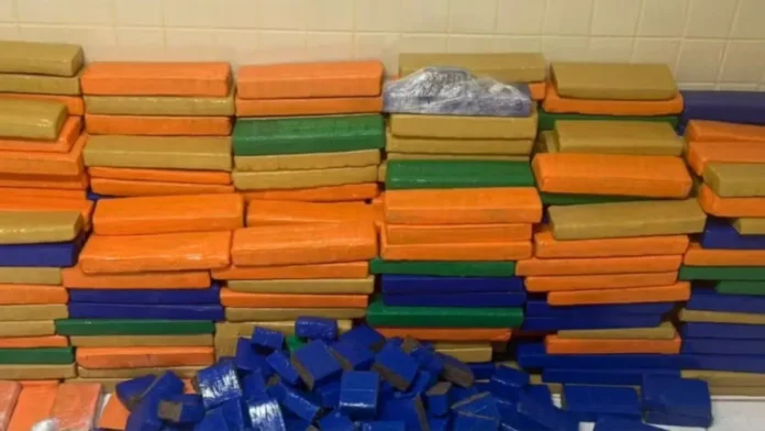 Policia-apreende-quase-1-tonelada-de-maconha-em-Si0137154600202512081033-ScaleDownProportional