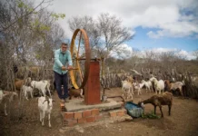 Incra reconhece comunidades de Fundo e Fecho de Pasto como assentamentos na Bahia