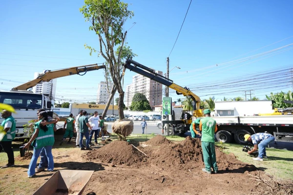 Corredor Verde vai chegar em seu bairro: veja locais que receberão árvores em Salvador