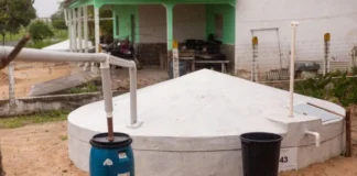 Água da chuva vira motor da economia, gera renda e reduz despesas no interior do Nordeste