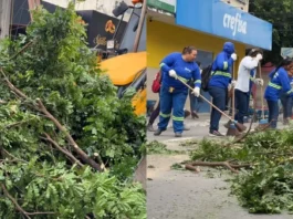 Vendaval derruba árvores e muros em Eunápolis; falta de energia afeta fornecimento de água