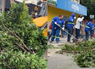 Vendaval derruba árvores e muros em Eunápolis; falta de energia afeta fornecimento de água