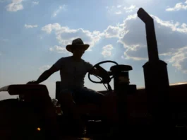 Nova tarifa dos EUA atinge 1,8% das exportações do agro baiano
