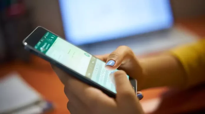 whatsapp-marcas-envato-1024x570